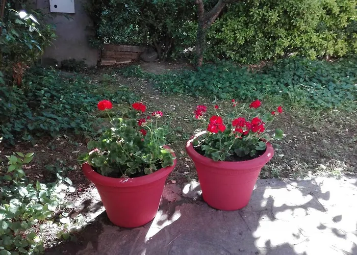 Country Apartament *